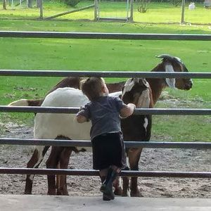 Meet your Posher, Tonya